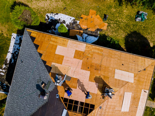 Best New Roof Installation  in Lazy Mountain, AK