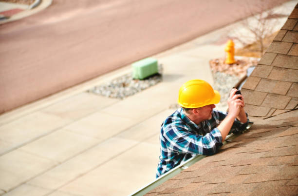 Best Roof Leak Repair  in Lazy Mountain, AK
