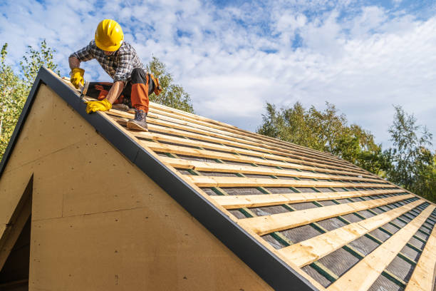 Best Local Roofing Companies  in Lazy Mountain, AK