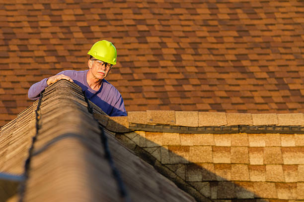 Best Slate Roofing Contractor  in Lazy Mountain, AK