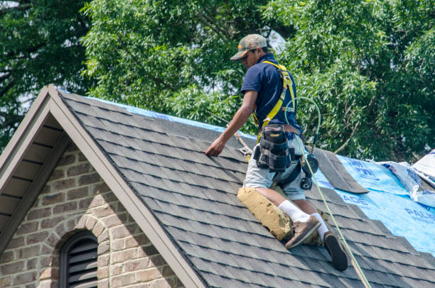 Best Emergency Roof Repair  in Lazy Mountain, AK